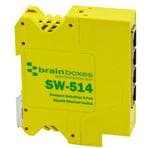 Brainboxes SW-514 放大圖片