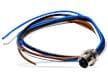 M12 Circular Connectors & Cable Assemblies