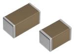 TDK 22μF/2012 & 47μF/3216 CGA MLCCs