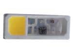 具有整合集成電路 (IC) 的 IN-PI4818QAS5R5G5BPW RGBW LED