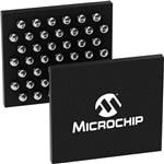 Microchip Technology ZL38AMBUGB2 放大圖片