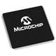 Microchip Technology PIC32MZ2025DAL176-V/2J