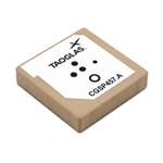 Taoglas CGSP457.A 放大圖片