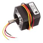 Texas Instruments LVBLDCMTR 放大圖片